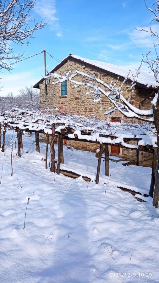 Bed and Breakfast Cascina Boschetto Saliceto Exterior foto