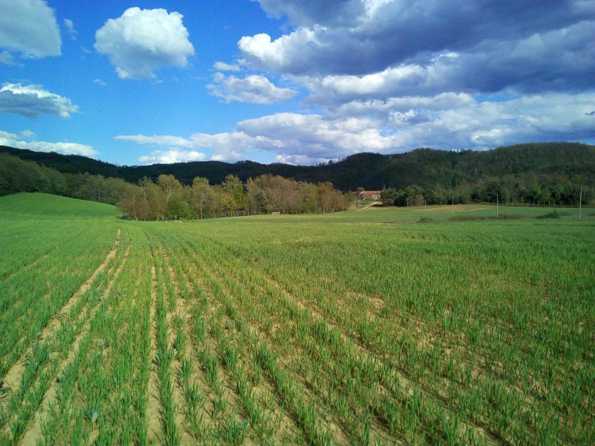Bed and Breakfast Cascina Boschetto Saliceto Exterior foto